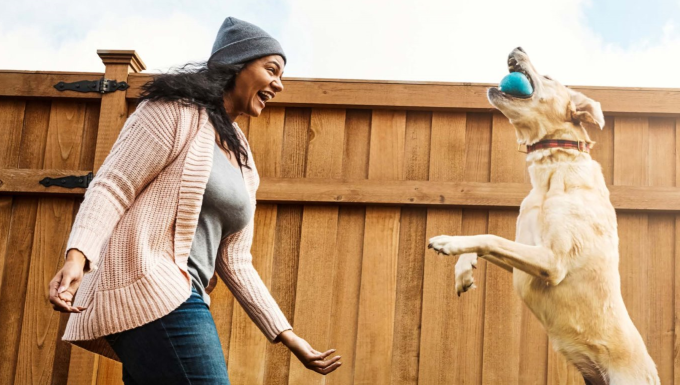 woman playing with dog